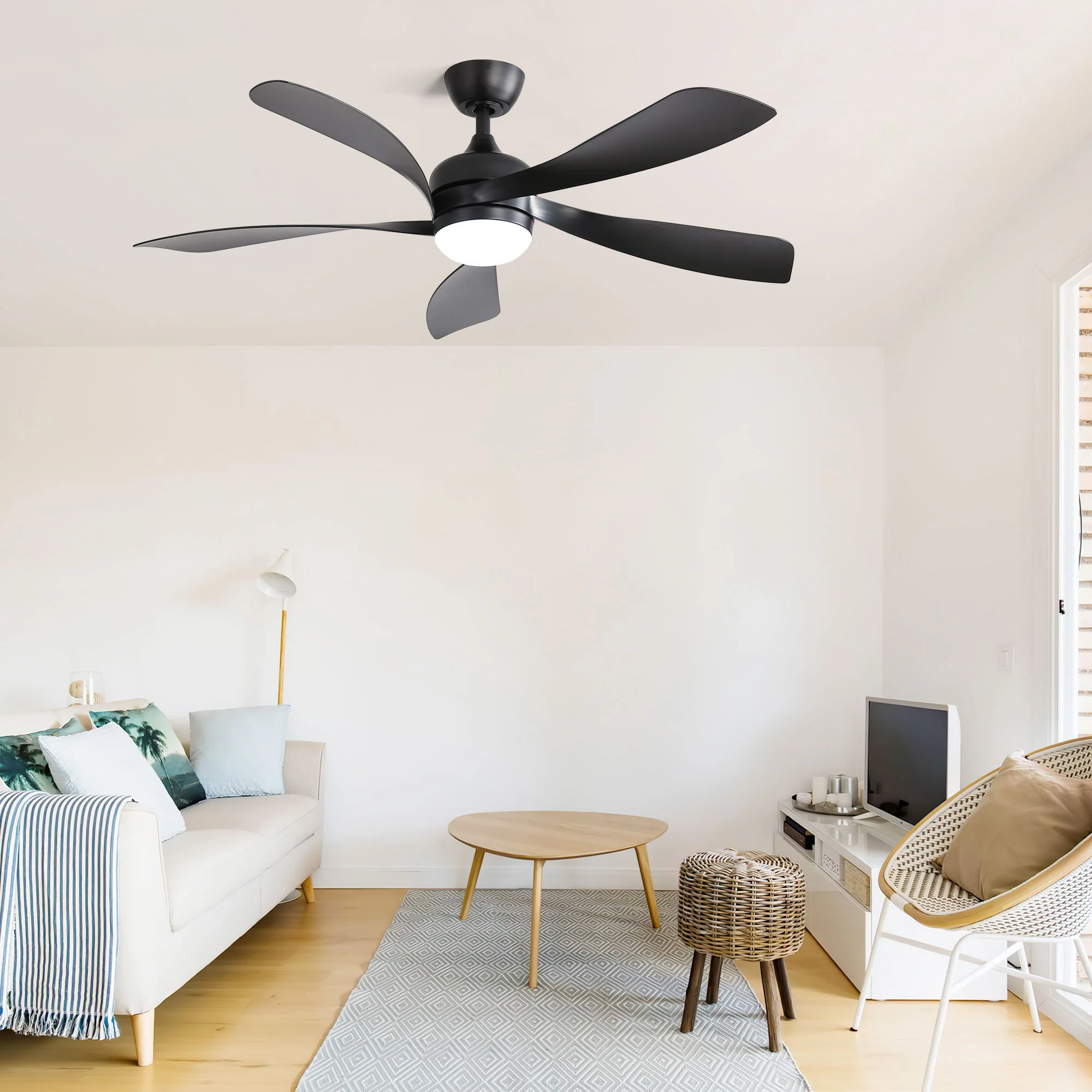 Ceiling Fan & DC Motor And Integrated Light - Image 21