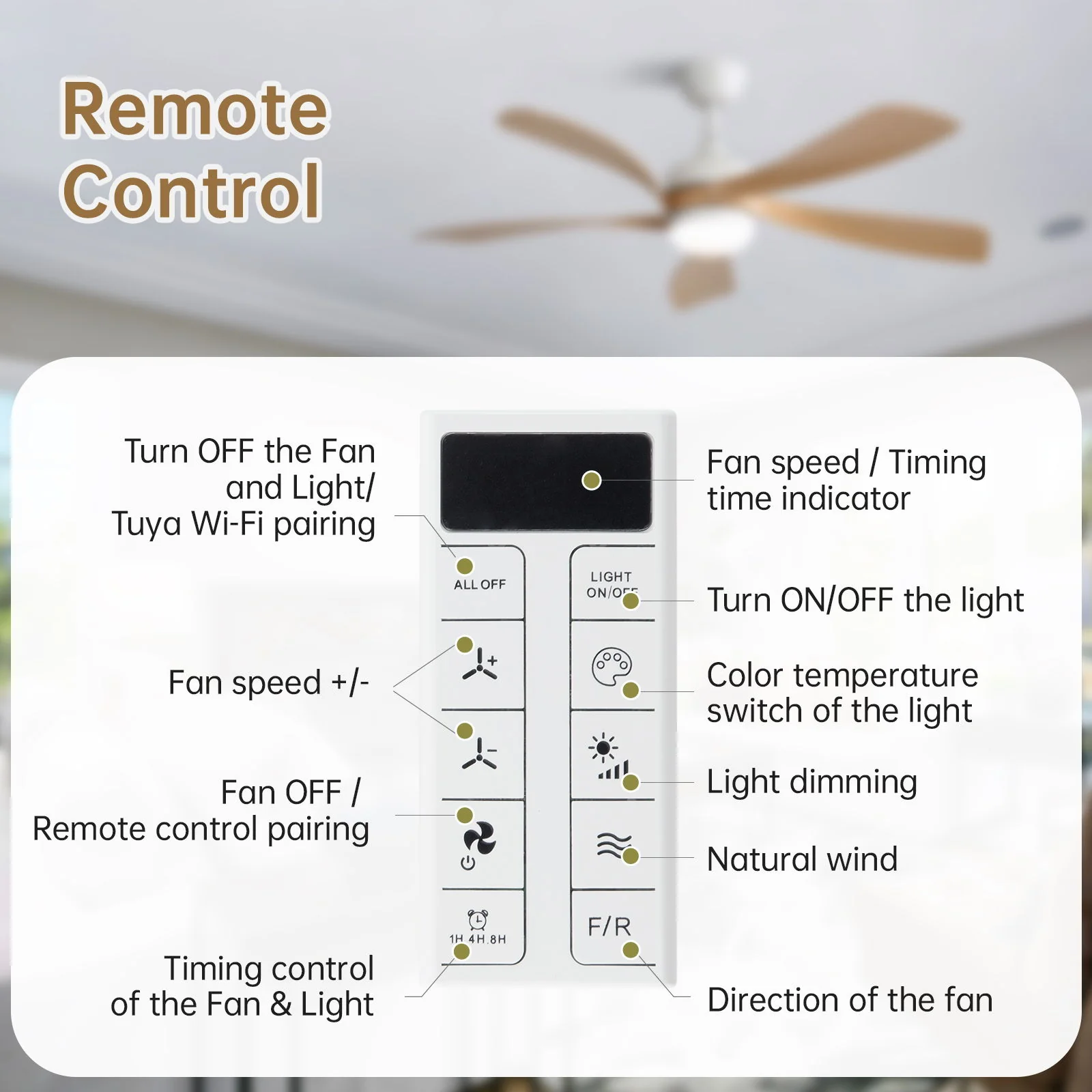 Ceiling Fan & DC Motor And Integrated Light - Image 8