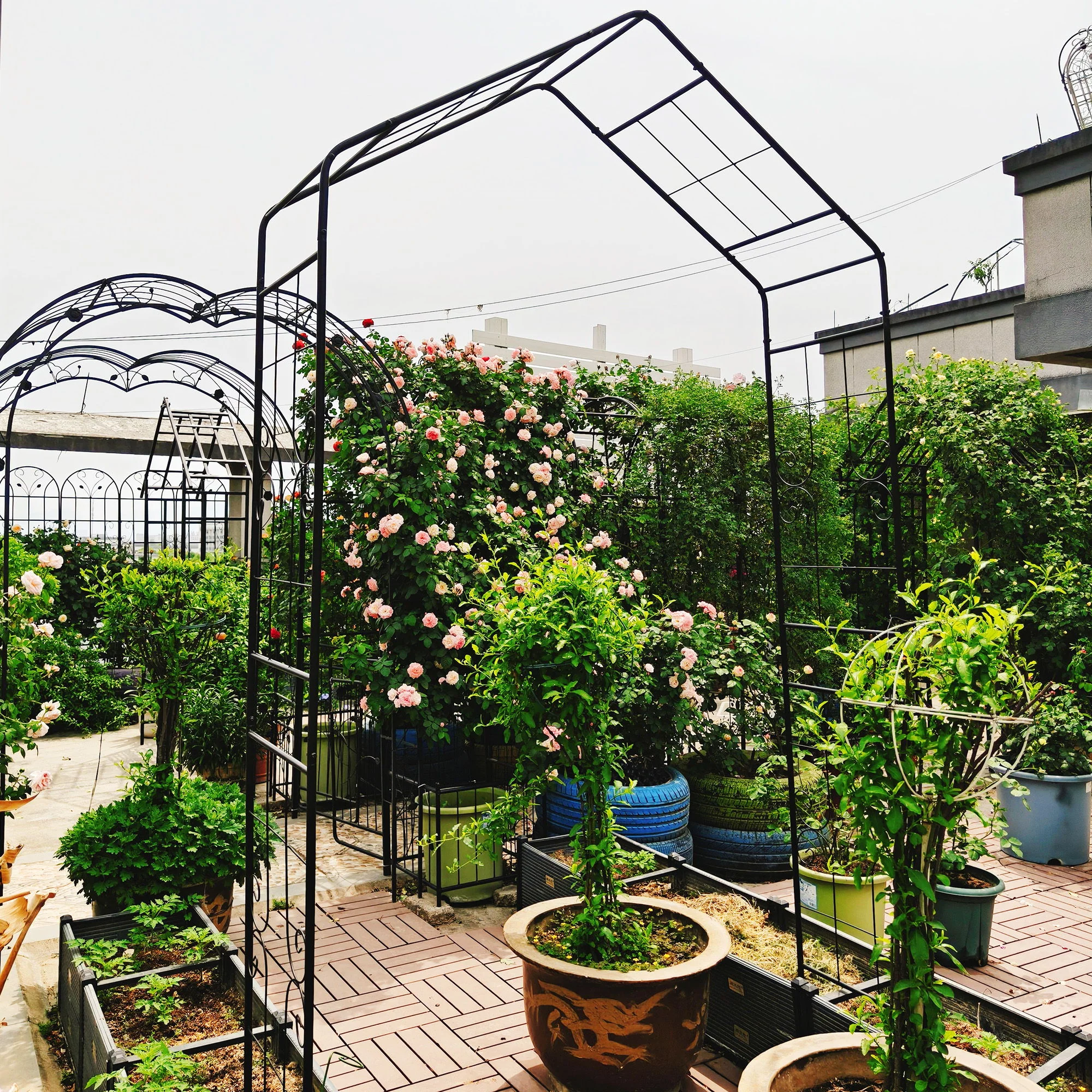 Garden Arch, Climbing Plants Support Outdoor - Black - Image 9