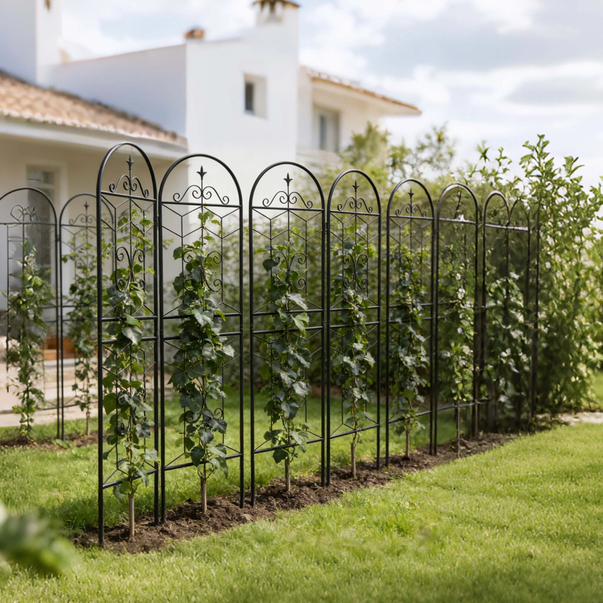 Garden Trellis, Rustproof Support For Climbing Plants - Image 18