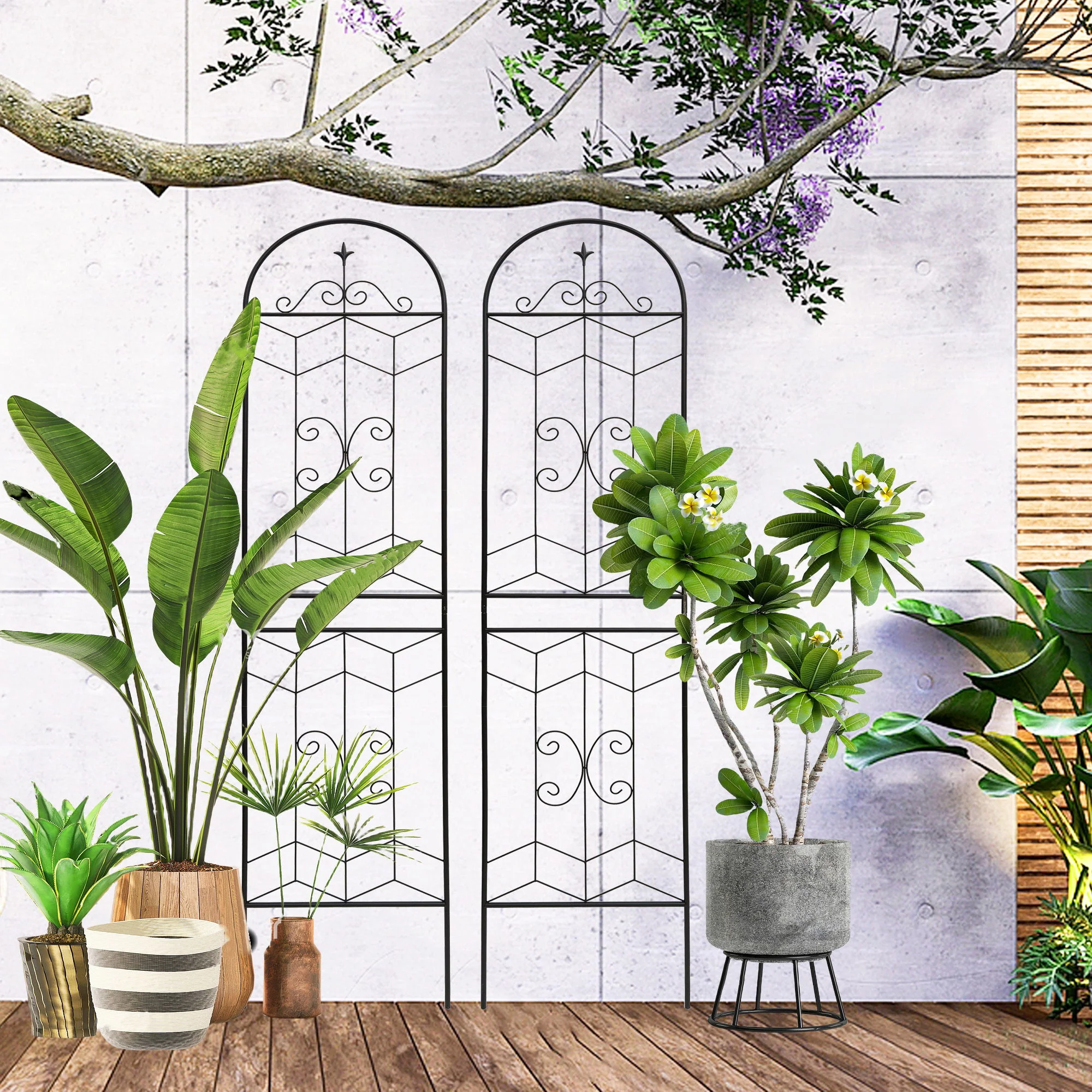 Garden Trellis, Rustproof Support For Climbing Plants - Image 22
